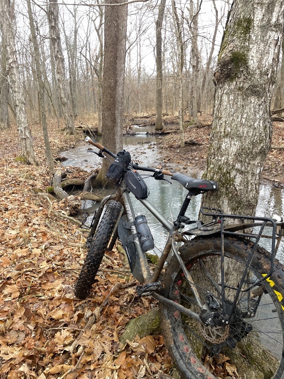 a fat tire bike leans against a tree next to a creek