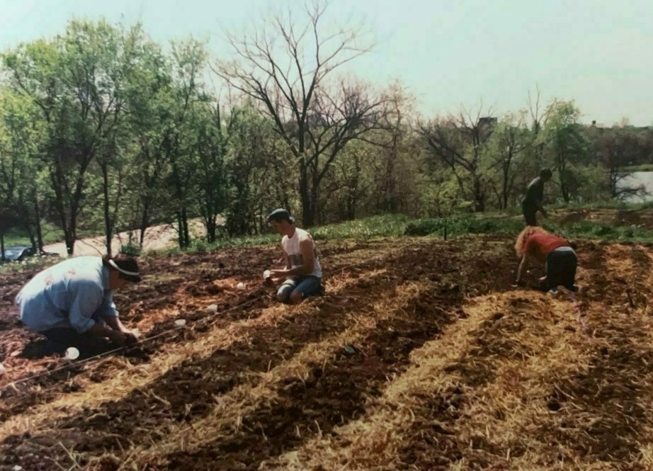 several people working together in a garden with defined rows of soil and mulch straw
