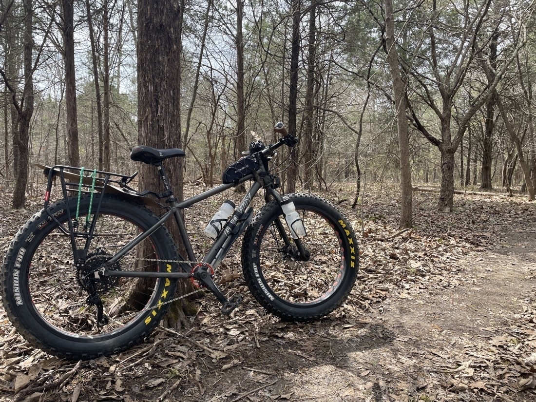 A black bike with oversized tires leans against a tree in a woodland