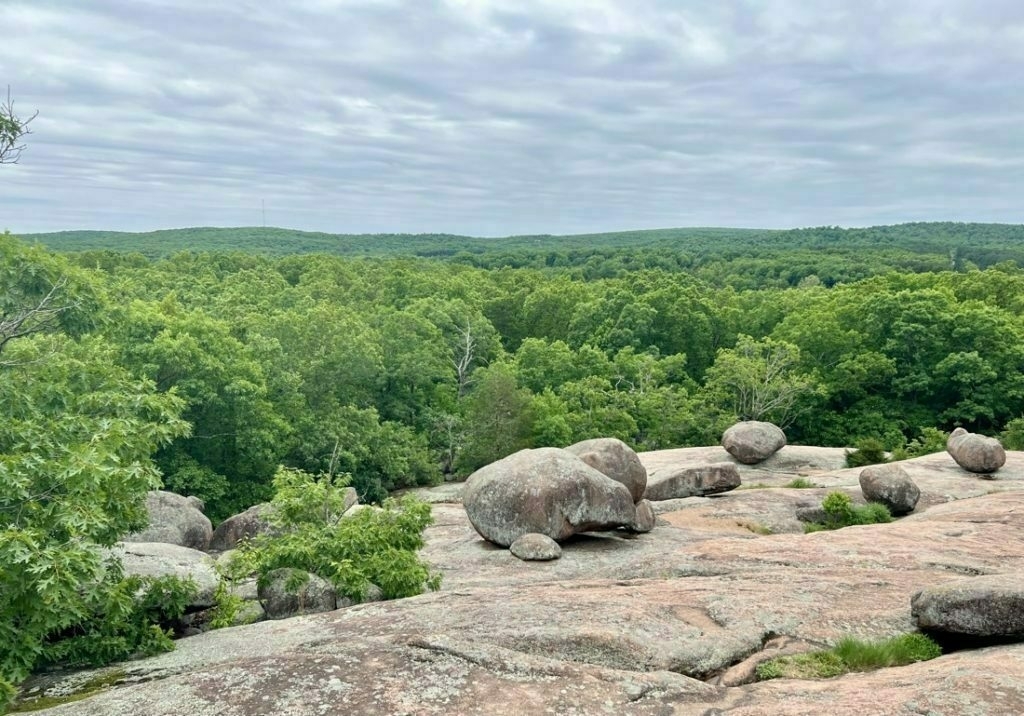 Foreground consists of pinkish colored rock with. Several very large boulders at a high elevation with a view of green trees stretching to horizon. 