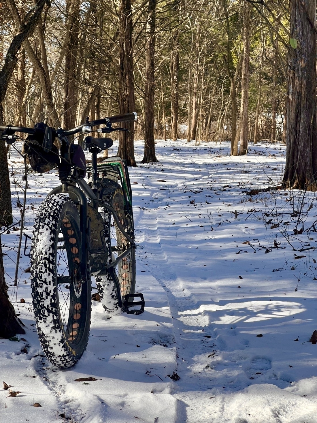 hey fat, tired bike leans against a tree next to a snow covered trail in the woods..