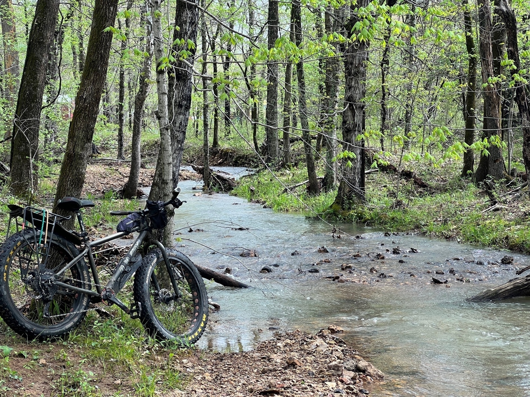 A fat tire bike leans against a tree in the woods an near a creek