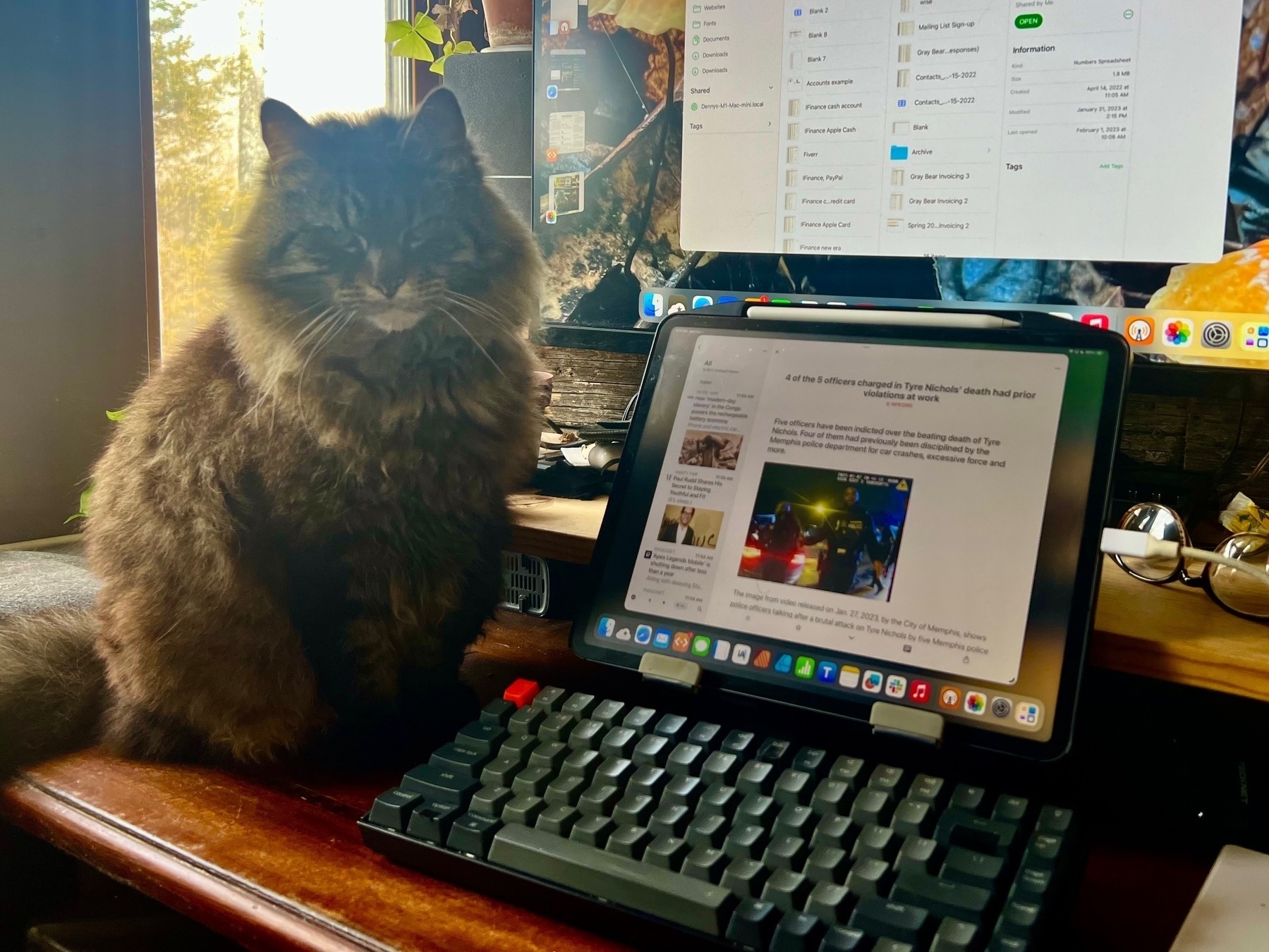 A long-haired brown cat sits on a desk near a keyboard and iPad looking at the camera menacingly.