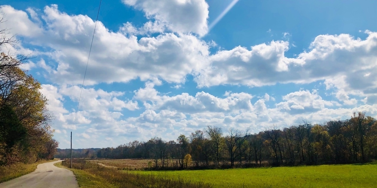 A bright blue sky full of puffy white clouds. On the left side are trees along a road that is headed off into the distance. On the right side is a green field which is borderd by trees. Beyond the trees is another field.