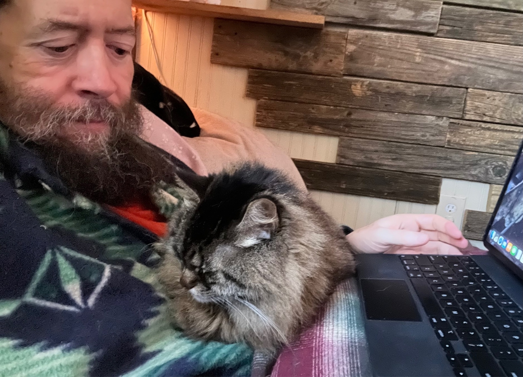 A guy with a beard is looking at a brown cat that has placed herself comfortably between him and his iPad keyboard. 