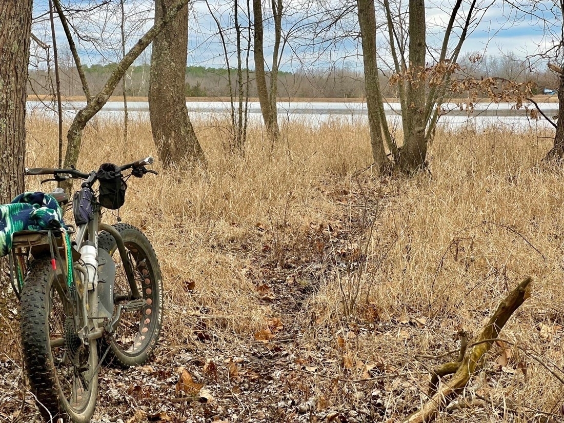 A fattire bike leans against a tree next to a trail through tall golden brown grass. A lake is in the background