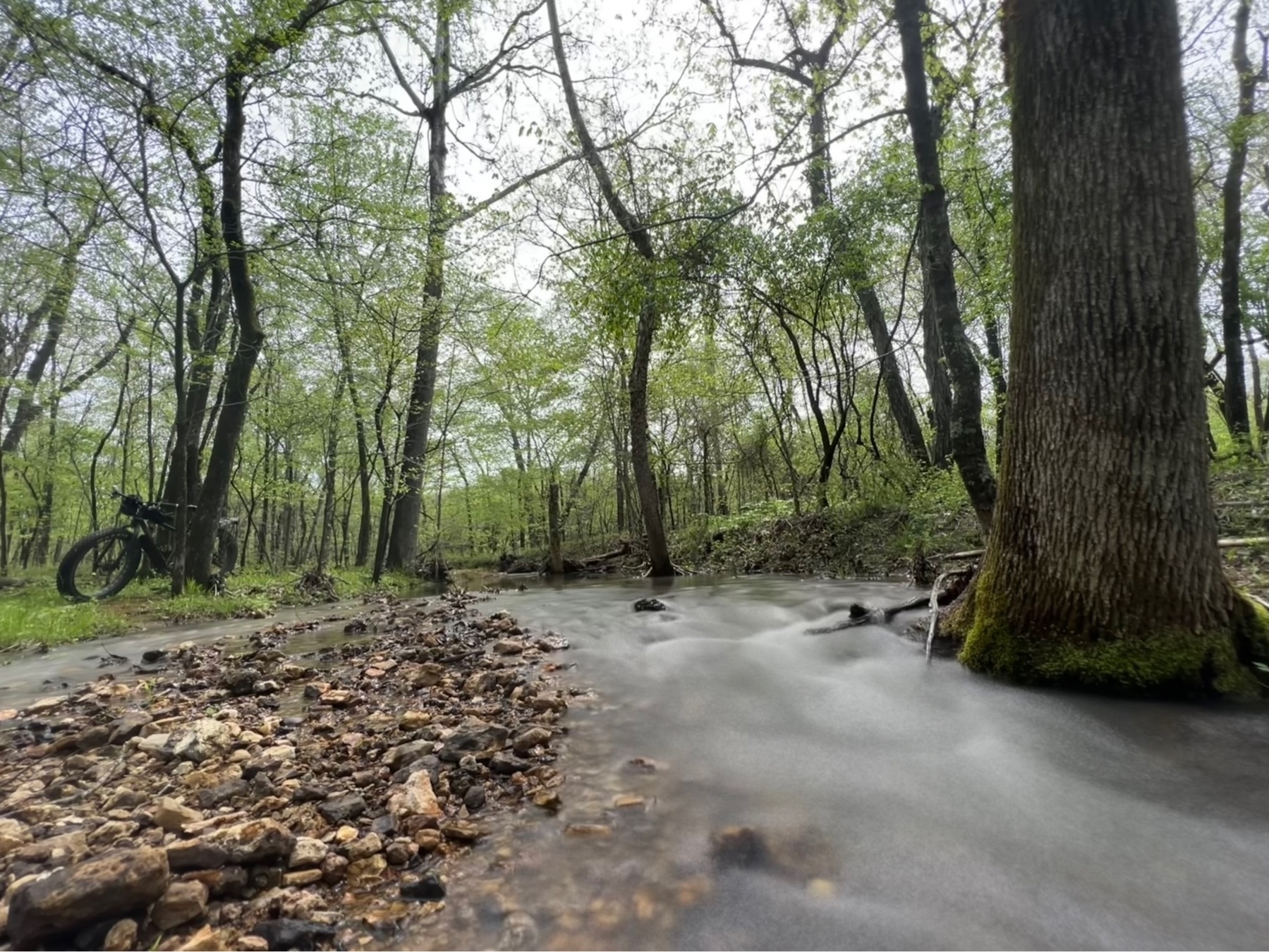 The blurred running water of a creek in the woods, a bike leans against a tree on the far left side