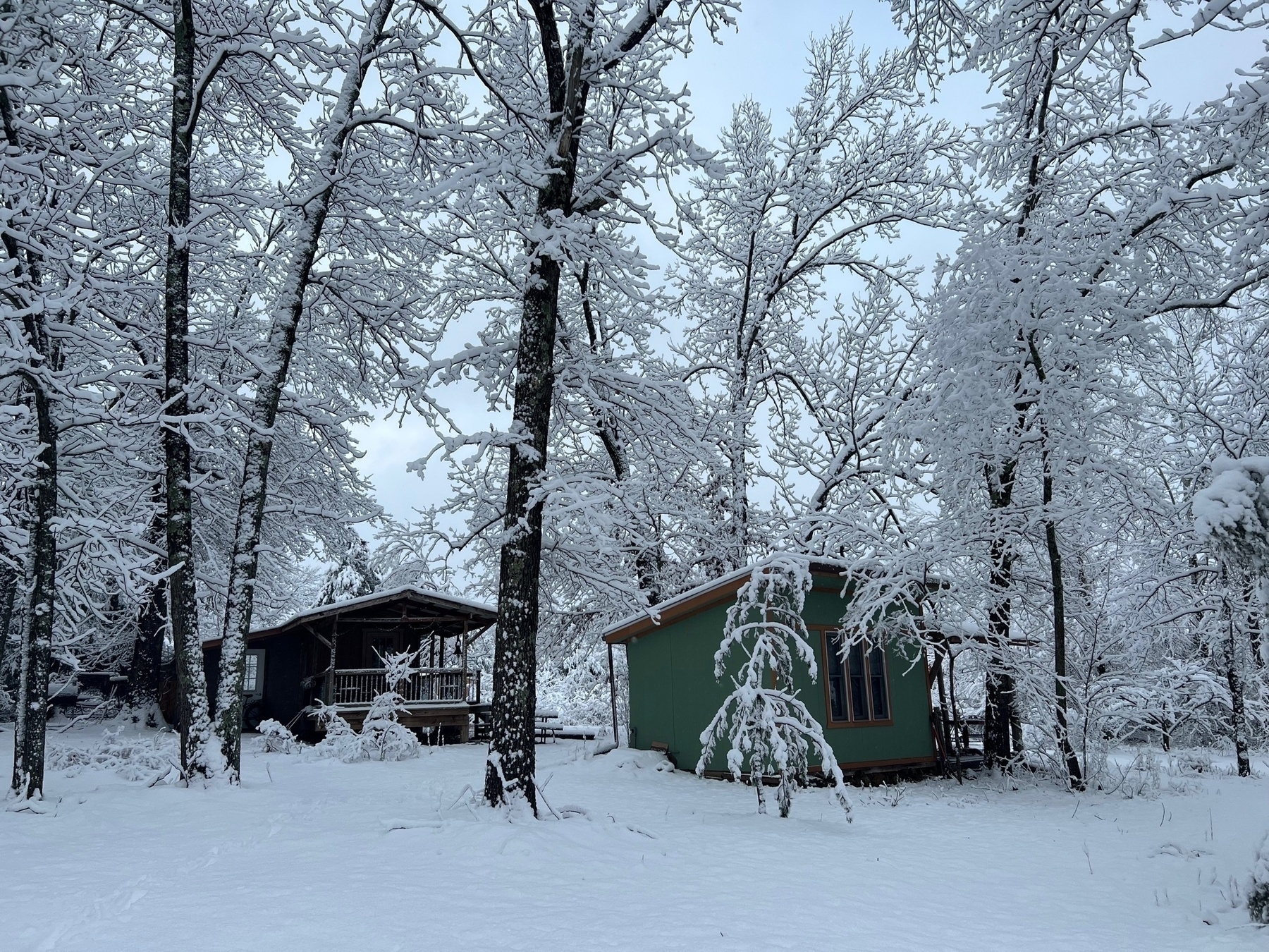 Two small tiny houses are surrounded by sagging trees covered in deep snow.