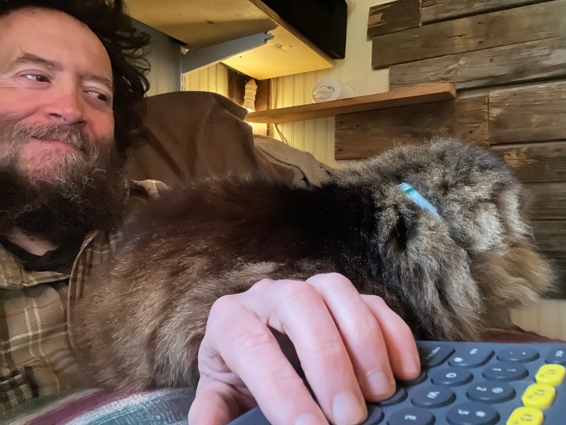 a cat laying on a beardy guy's  forearm, making it difficult to type